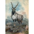 thumbnail image 3 of Joseph Wolf 11x14 Black Modern Framed Museum Art Print Titled - The Markhore (1861-1867), 3 of 5