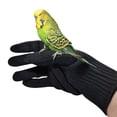 thumbnail image 3 of HYROOY Bird Gloves Anti-Bite Parrot Training Chewing Protective Gloves Perfect for Birds Gripping Trimming Nails Feeding Steel, 3 of 5