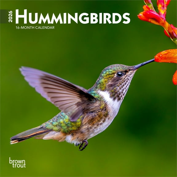 Hummingbirds | 2026 7x14" (Hanging) Monthly Mini Wall Calendar | BrownTrout