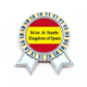 thumbnail image 1 of Versión española de Europa Insignia broche Medalla ganadora, 1 of 3
