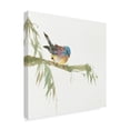 thumbnail image 2 of Trademark Fine Art 'Finch' Canvas Art by Chris Paschke, 2 of 3