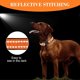 thumbnail image 4 of Collares reflectantes de nailon para perros, doble seguridad, ajustables con acolchado de neopreno suave, para cachorros pequeños y perros medianos y grandes (naranja-L), 4 of 4