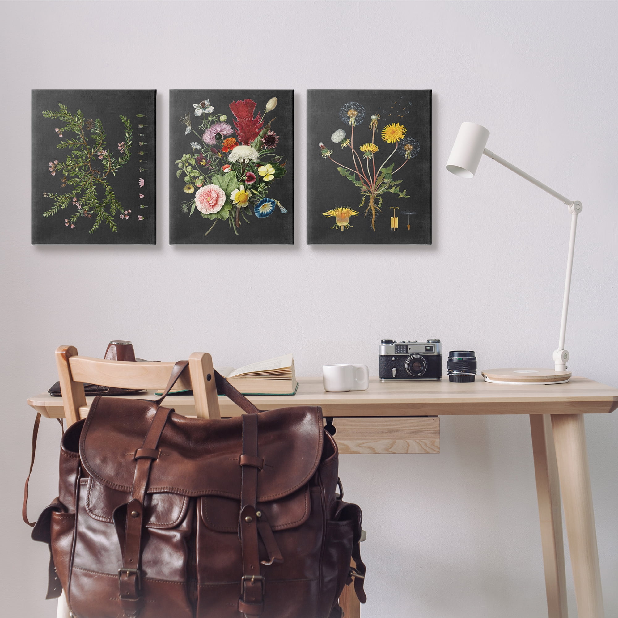 Stupell Industries Botanical Chalkboard Flowers Illustrations Canvas Wall Art by Lettered and Lined
