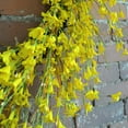 thumbnail image 4 of 22" Yellow Forsythia Wreath, 4 of 5