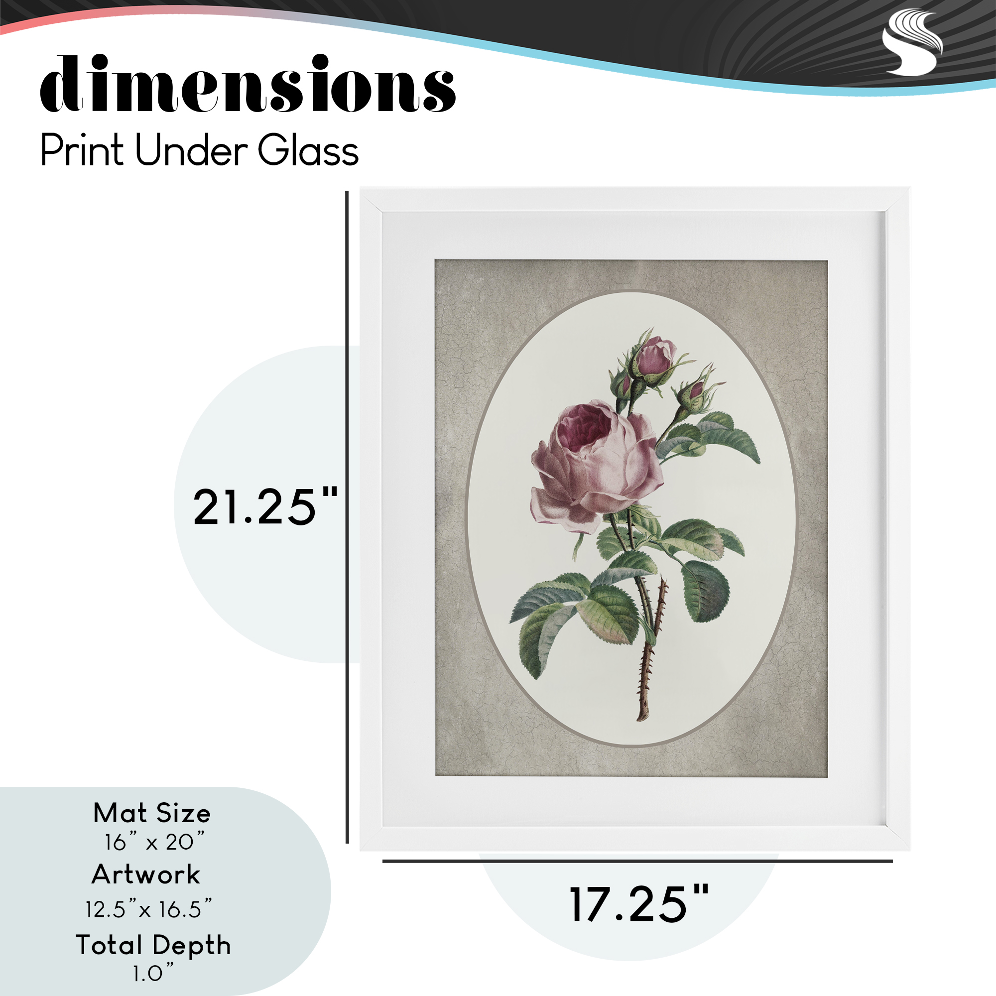 Vintage Rose within Oval White Framed Print Under Glass, design by Lettered and Lined