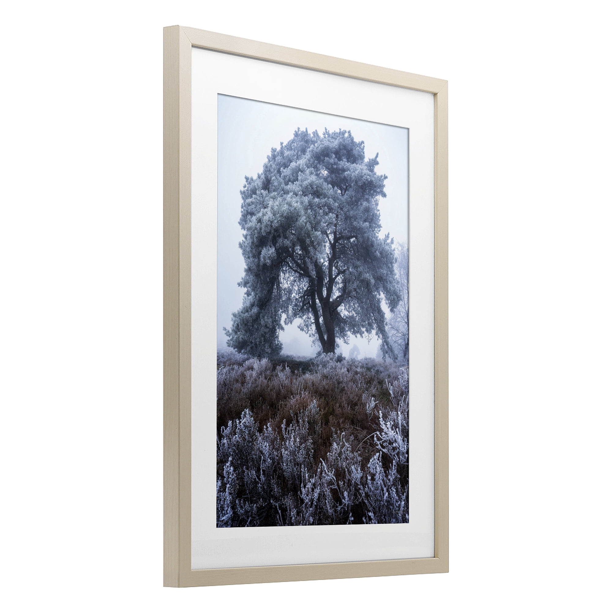Stupell Industries Frosted Tree in Winter Mist Birch Framed Print Under Glass, design by Martin Podt
