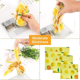 thumbnail image 4 of Juego de 3 piezas de papel encerado de hilo de cera de abejas reutilizable, toallitas de cera de abejas orgánicas, envoltura de alimentos de diferentes tamaños para frutas, verduras y pan lavables (es, 4 of 5