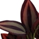 thumbnail image 3 of Plantas artificiales de interior al aire libre flor hoja follaje oficina en verdor decoración artificial verde planta Baoblaze  Plantas de follaje artificial, 3 of 8