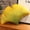 Ginkgo Leaf, variant on Leaf Shaped 3D Throw Pillows Soft Plush Maple Leaves Pillow Decorative Pillow for Plant Lovers Aesthetic Cute Pillow for Bed Sofa Car Floor Couch Living Room Bedroom Decor (Maple Leaf)