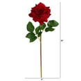thumbnail image 3 of Nearly Natural 20" Rose Artificial Flower (Set of 6), Red, 3 of 3