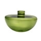 thumbnail image 4 of Florero de vidrio BLESIY hidropónico Contenedor de flores verde, 4 of 8