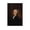 Unframe-style, variant on Alexander Hamilton Portraits Poster Gifts Canvas Painting Poster Wall Art Decorative Picture Prints Modern Decor 20x30inch(50x75cm)