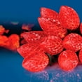 twinkle-star-c9-christmas-lights-24-5-ft-50-lights-faceted-strawberry