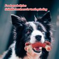 thumbnail image 3 of MASBRILL Large Dog Chew Toy for Aggressive Chewers- Tough Dog Toys Indestructible Bone Dog Toy,Nylon Durable Dog Teething Chew Dog Toys for Large/Medium Dogs, 3 of 7