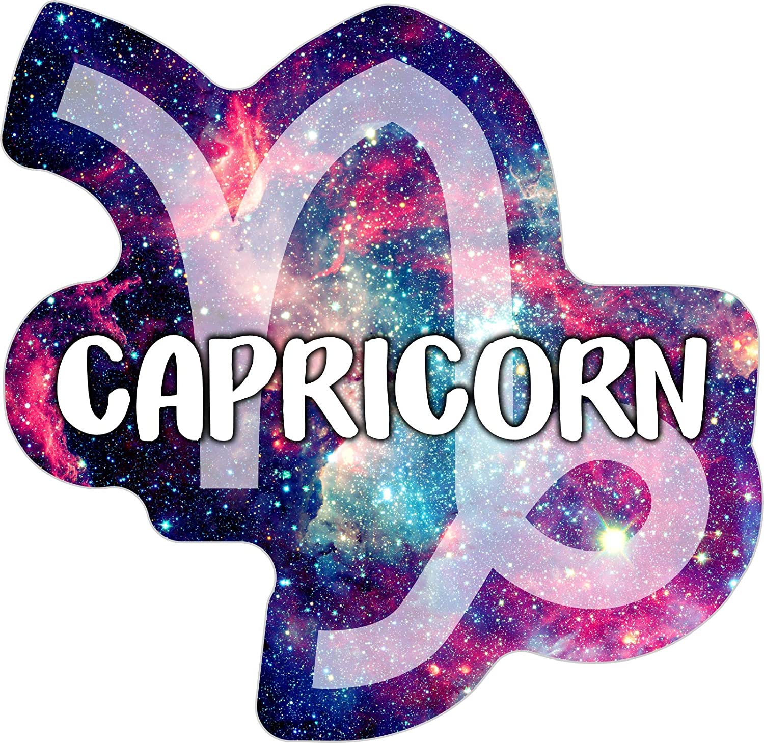 Capricorn Fridge Magnet