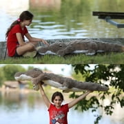 Tezituor 67 Alligator Stuffed Animal Giant Crocodile Plush Body Pillow Plush Toy