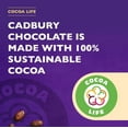 thumbnail image 5 of Cadbury Fair Trade Drinking Chocolate 250 g Pack of 6, 5 of 5