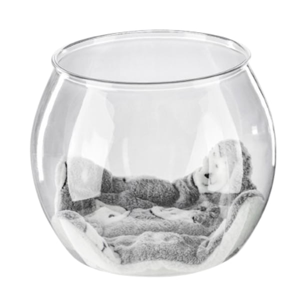 Cama para gatos Space Capsule, universal, transparente, para interiores y exteriores. con manta