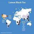 thumbnail image 2 of Té helado preparado Spindrift de té negro con limón, lata de 355 ml, paquete de 12, 2 of 7