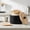 Black, variant on Atopoler Coffee Filter Holder with Lid,Wood Filter Storage Container,Multipurpose Storage Container for Counter Coffee Bar Accessories,White Color