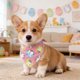 thumbnail image 4 of Bufanda triangular con estampado de conejito de Pascua, babero navideño de gatos y perros, ideal para accesorios fotográficos de fiesta de Pascua y decoraciones navideñas. Bufanda triangular de poliés, 4 of 6