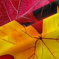 thumbnail image 4 of Erosebridal Maple Leaves Shower Curtain 72Wx84L,Fall Foliage Bathroom Shower Curtain,Rainbow, 4 of 6