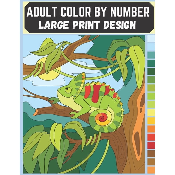 Adult Color By Number - Large Print Design: An Adult Coloring Book with ...