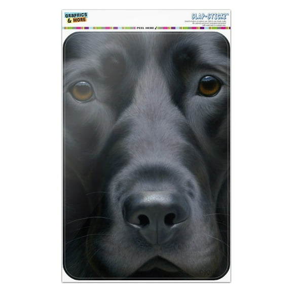 Black Labrador Retriever Dog Face Closeup Home Business Office Sign
