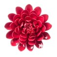 thumbnail image 1 of Vivaterra Ceramic Wall Flowers - 8 Dia. Red, 1 of 4