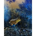 thumbnail image 2 of Popcorn 15x18 Gold Ornate Wood Framed with Double Matting Museum Art Print Titled - Frog I, 2 of 4