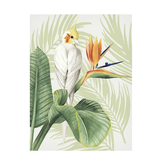 Trademark Fine Art Grace Popp Avian Paradise Ii Canvas Wall Art - 18x24