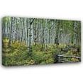 thumbnail image 1 of Larry Malvin 18x13 Gallery Wrapped Canvas Wall Art Titled - Aspen Grove II, 1 of 4