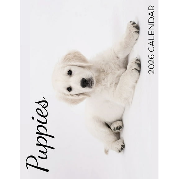 Puppies 2026 Calendar, (Paperback)