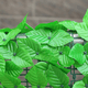 thumbnail image 5 of Valla de pared de plástico con plantas de simulación, pared exterior, decoración de hojas verdes, barandilla para balcón, refugio y embellecimiento de pared de plantas, 5 of 5