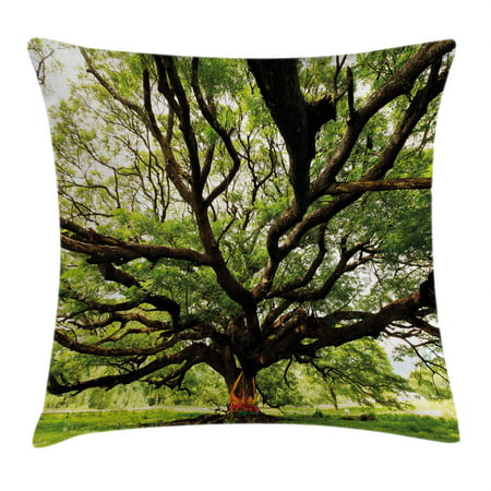 Nature Throw Pillow Cushion Cover, The Largest Monkey Pod Tree in Thailand Eastern Green Big Branches Growth Eco Photo, Decorative Square Accent Pillow Case, 24 X 24 Inches, Green Brown, by (Best Cover Photos Of Nature)