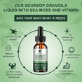 thumbnail image 3 of Soursop Graviola Liquid Drop,Support Liver & Immune,Antioxidant Cell Support & Regeneration,1 fl oz, 3 of 9