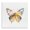 Watercolor Butterfly Subtlety, variant on Stupell Industries Transitional Warm Watercolor Butterfly Canvas Art, 17 x 17, by Kim Allen