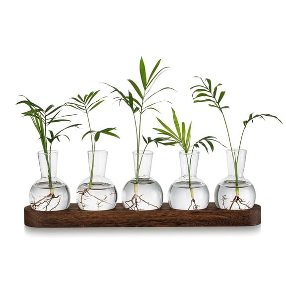 Glasseam Plant Terrarium Propagation Station, Set of 5 Glass Planter Bulb Vase With Wooden Tray,Desktop Flower Vase Hydroponics Glass Vase for Plants Cutting
