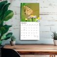 thumbnail image 5 of Butterflies | 2027 12x24" (Hanging) Wall Calendar | Plastic-Free | BrownTrout, 5 of 9