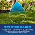 thumbnail image 5 of Scotts Grass Seed Drought Tolerant Mix, 2,000 sq. ft., 4 lb., 5 of 13