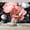 Color 3, variant on Wallpaper Peony Flower Pink Petals Yellow Stamen Gray Leaves Black Peel and Stick Wall Murals 69"H x 96"W Removable PVC Wall Paper Self-Adhesive Wall Paintings Art Decor for Bedroom Living Room