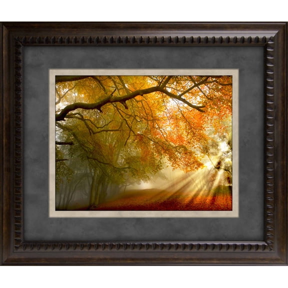 Forest Light Framed Art 19.25"x23.25"