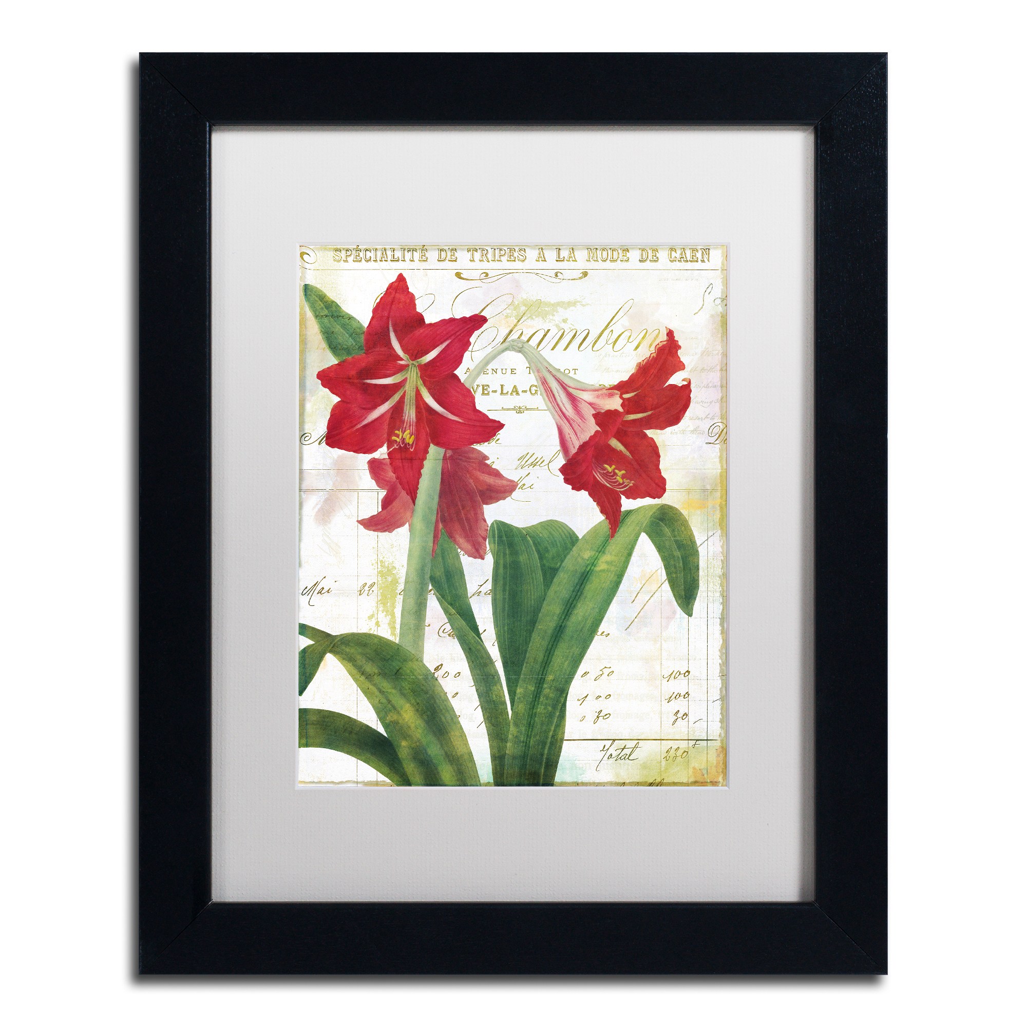 Trademark Fine Art "Peppermint Amaryllis" Canvas Art by Color Bakery White Matte, Black Frame