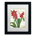 thumbnail image 2 of Trademark Fine Art "Peppermint Amaryllis" Canvas Art by Color Bakery White Matte, Black Frame, 2 of 4