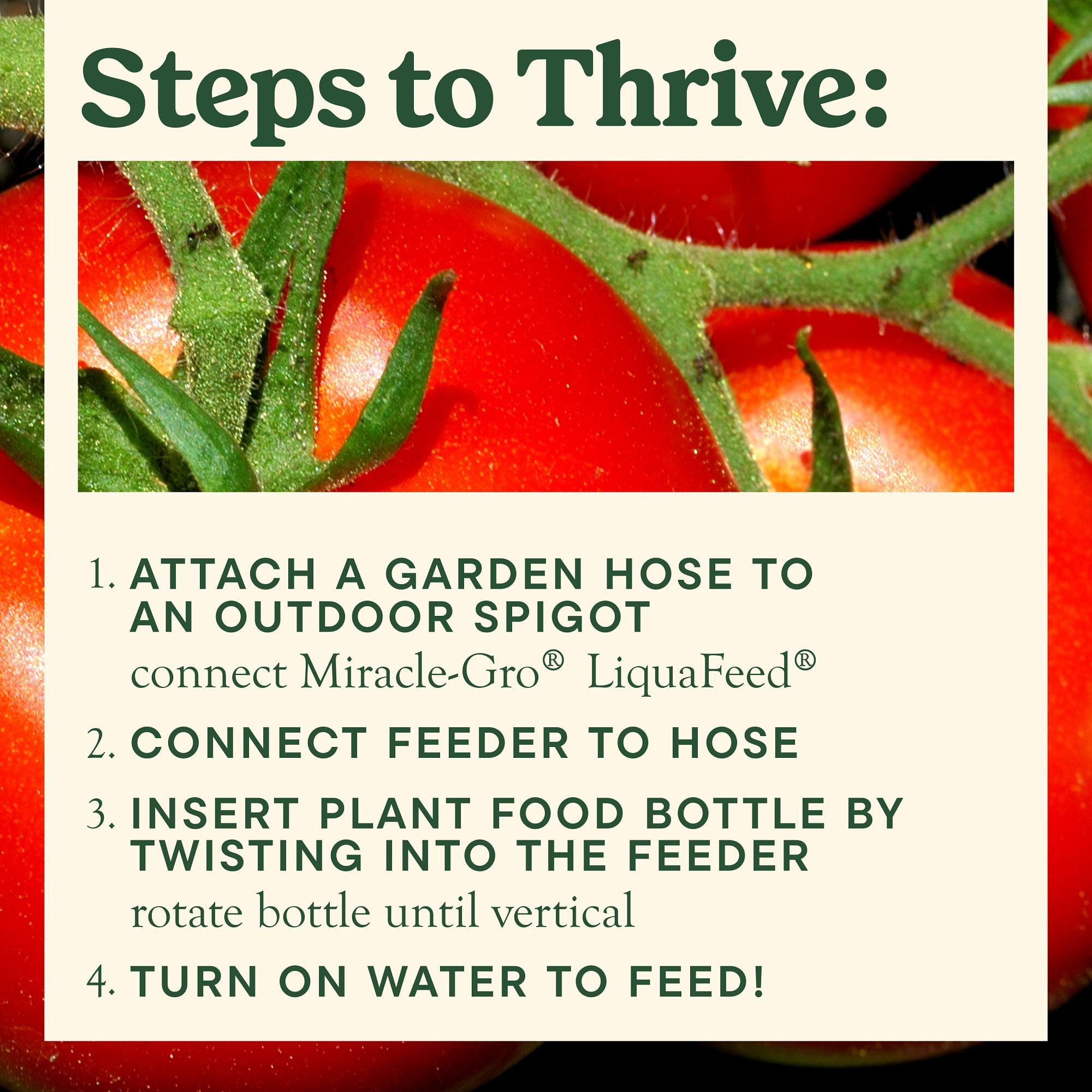 Miracle-Gro LiquaFeed Tomato, Fruits & Vegetables Plant Food Refills, 2 Pack