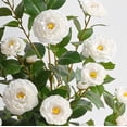 thumbnail image 3 of Lyacmy 3FT 2 Pack White Camellia Artificial Tree in Pot, Artificial Plants Indoor Outdoor for Home Decor, 3 of 8