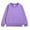 C24-Purple, variant on Hessimy Boys' crew neck sweatshirts - Soft Fleece Sherpa Lined For Boys Cute Oversized Pattern printing sport pullover essentials solid colour (Grey,5-6 Years)