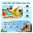thumbnail image 2 of Smart Bird Feeder with Camera, 2K AI Bird Identification, Solar Powered, Wireless Outdoor Camera with Auto Capture & Notify, Gift for Bird Lovers, 2 of 7