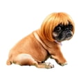 thumbnail image 2 of 7.5x5.9in Pet Cute Wig, Short Hair Dog Costume Accessory, Funny Dress-Up Hairpiece for Puppy Photo Prop Party Cosplay, 2 of 6