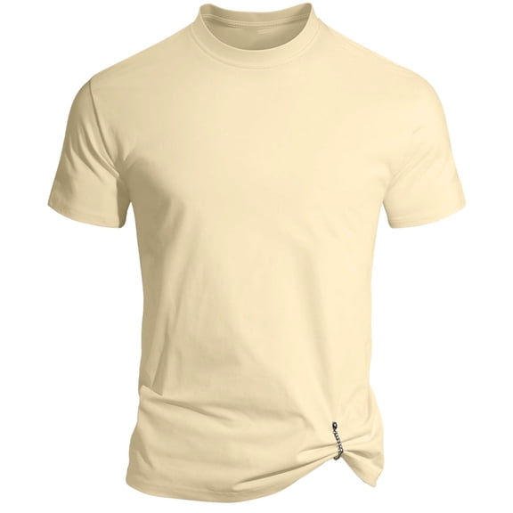 FRSASU Men's Basic T-shirt Solid Color Short Sleeve Tee Summer Plain Casual Gym Muscle Crew Neck Slim Fit Tops T-Shirts Beige